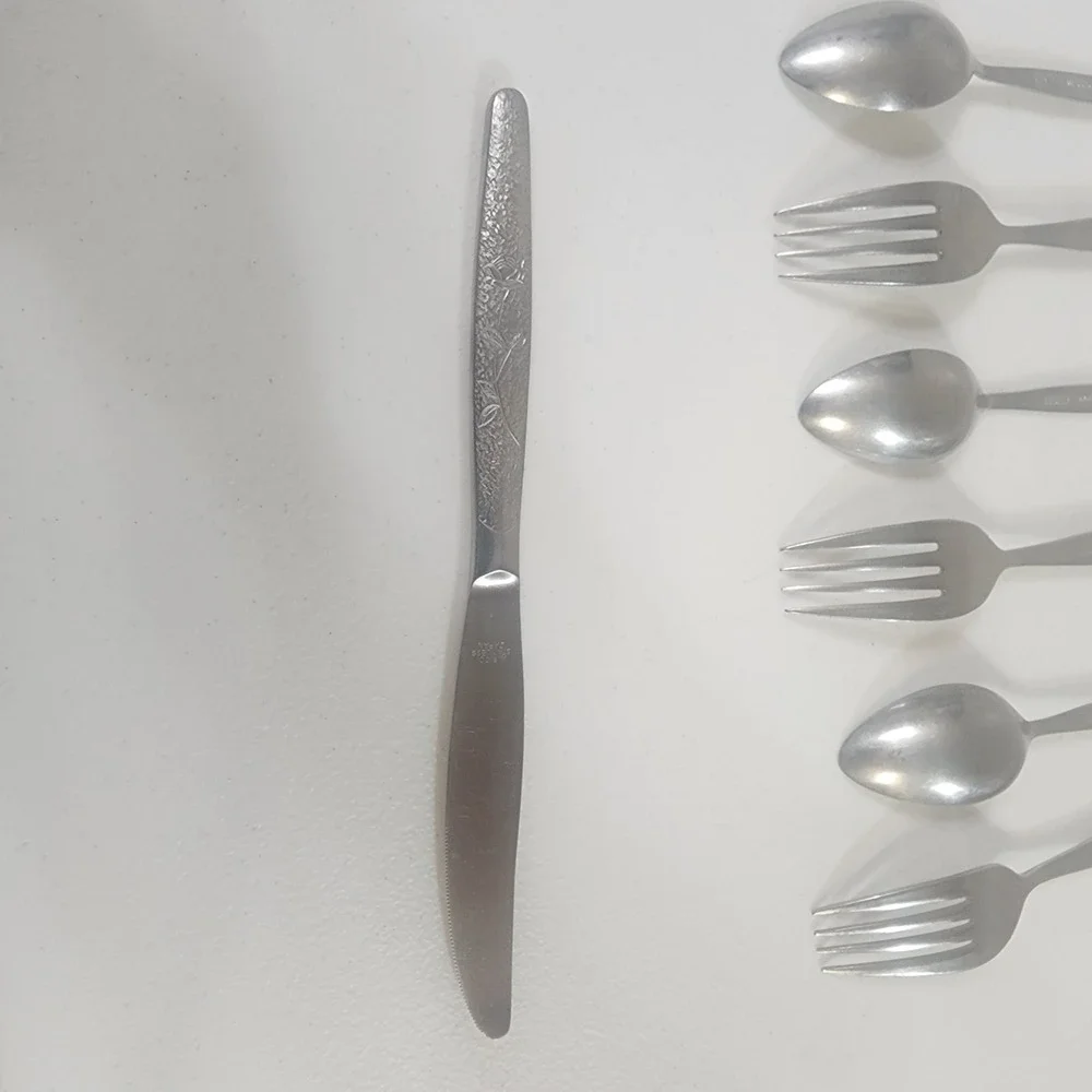 National Silver FLEUR Stainless NASCO Rose Japan Silverware replacement Flatware